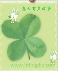 小花猫交朋友