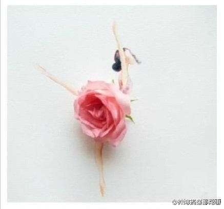 《图书推广大使》参赛专辑