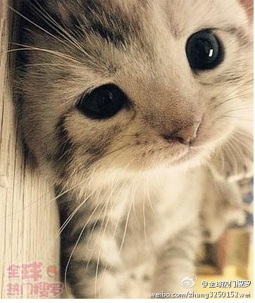 默认图书