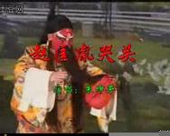 豫剧赵匡胤哭头MP3