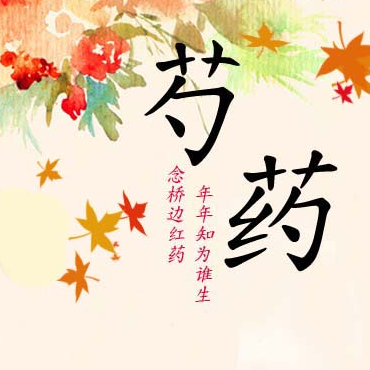 SHAOYAO
