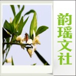 韵瑶散文有声读物